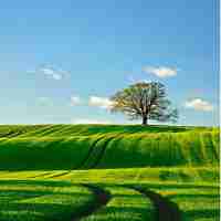 最‌新‍机﻿器‌学​习‌脚﻿本‌